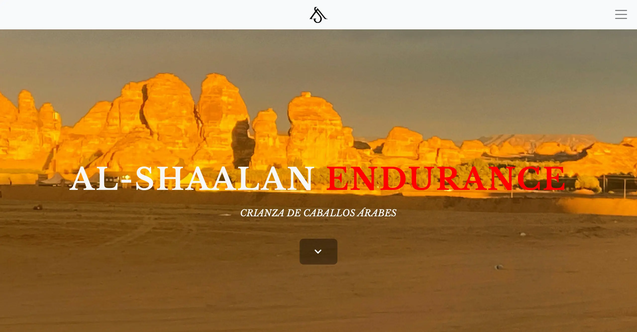 Al-Shaalan S.A.