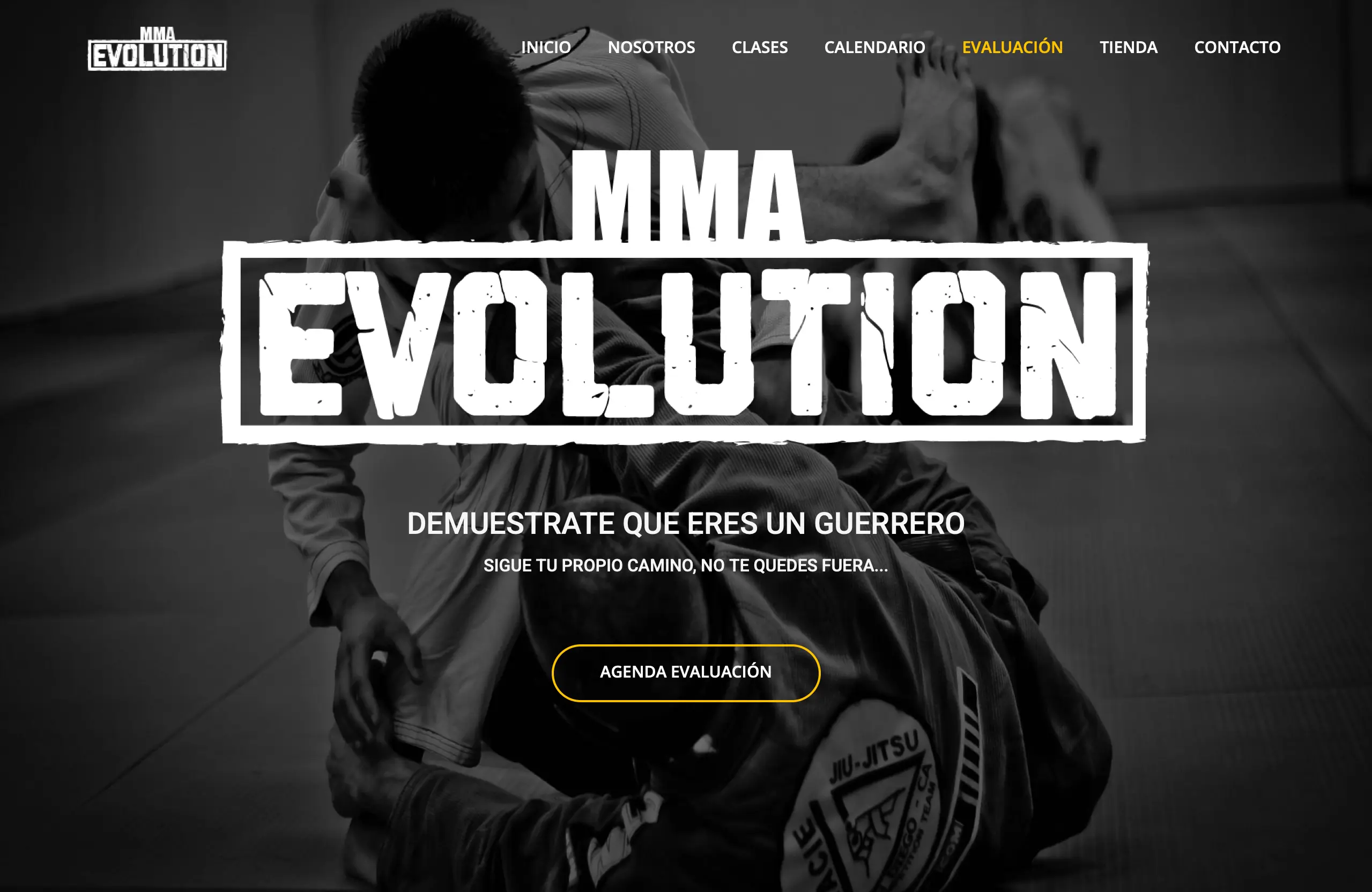 Tienda Evolution MMA